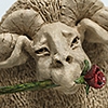 When a ram loves a woman