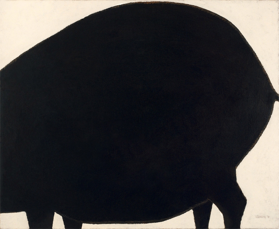 Swine torso